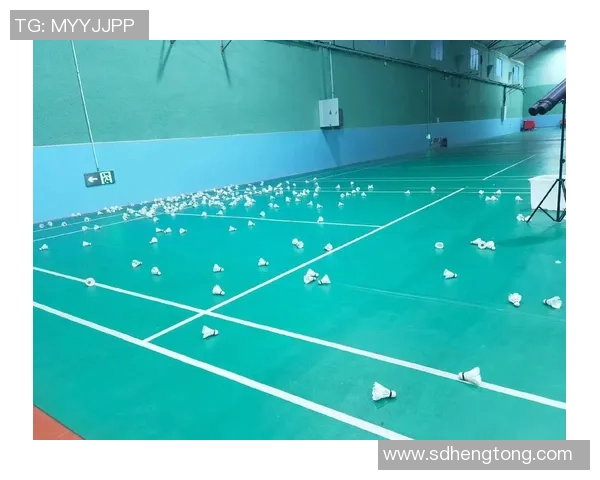 赵芳独家揭秘羽毛球技巧与训练心得助你提升球技的秘诀